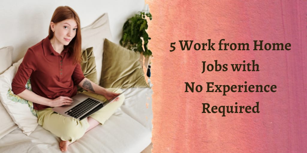 work from home jobs with no experience